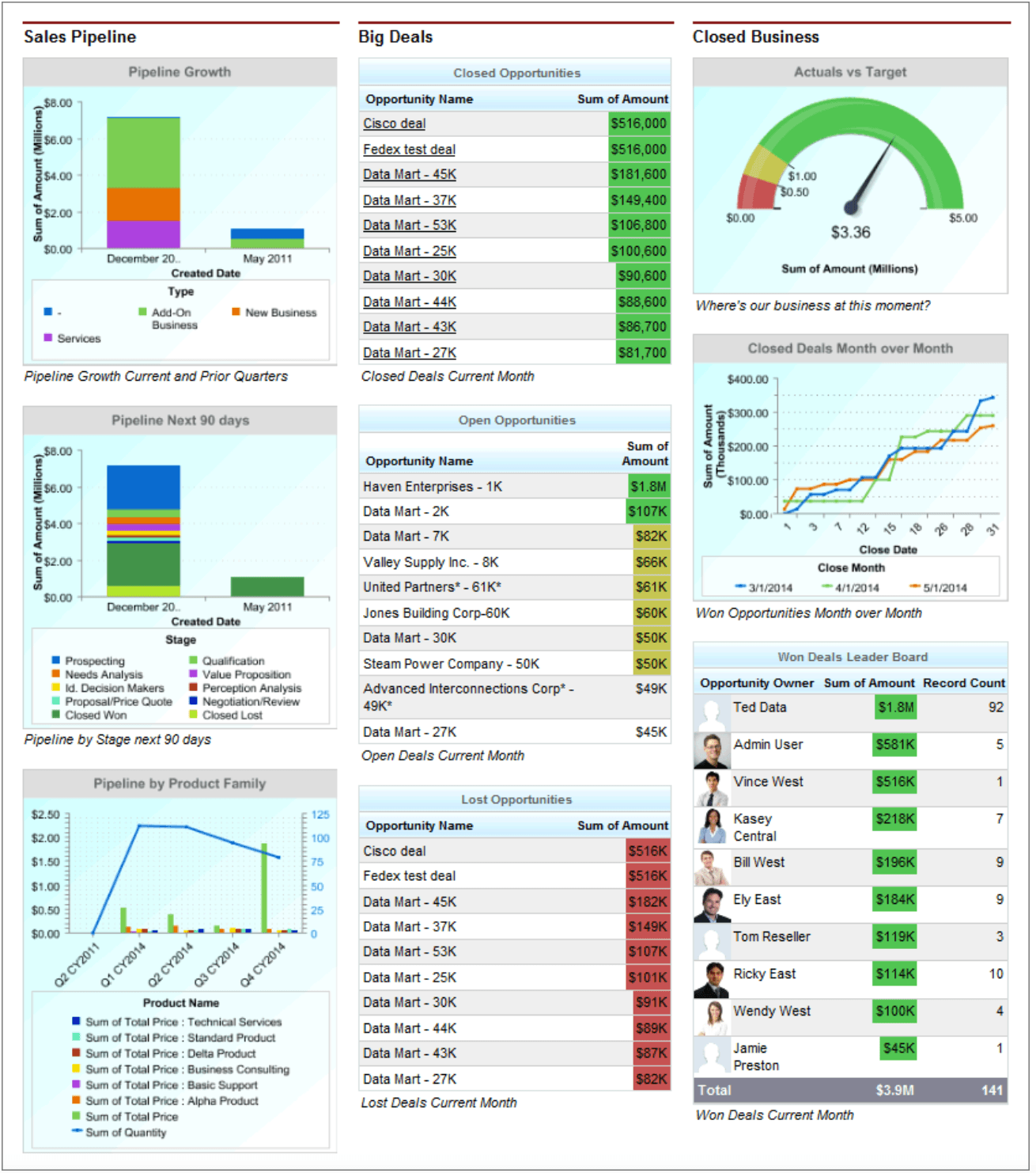 sample sales executive dashboard in Salesforce